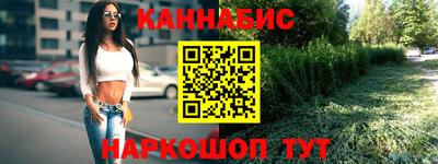 крисы Апшеронск
